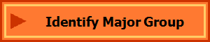 Identify Major Group